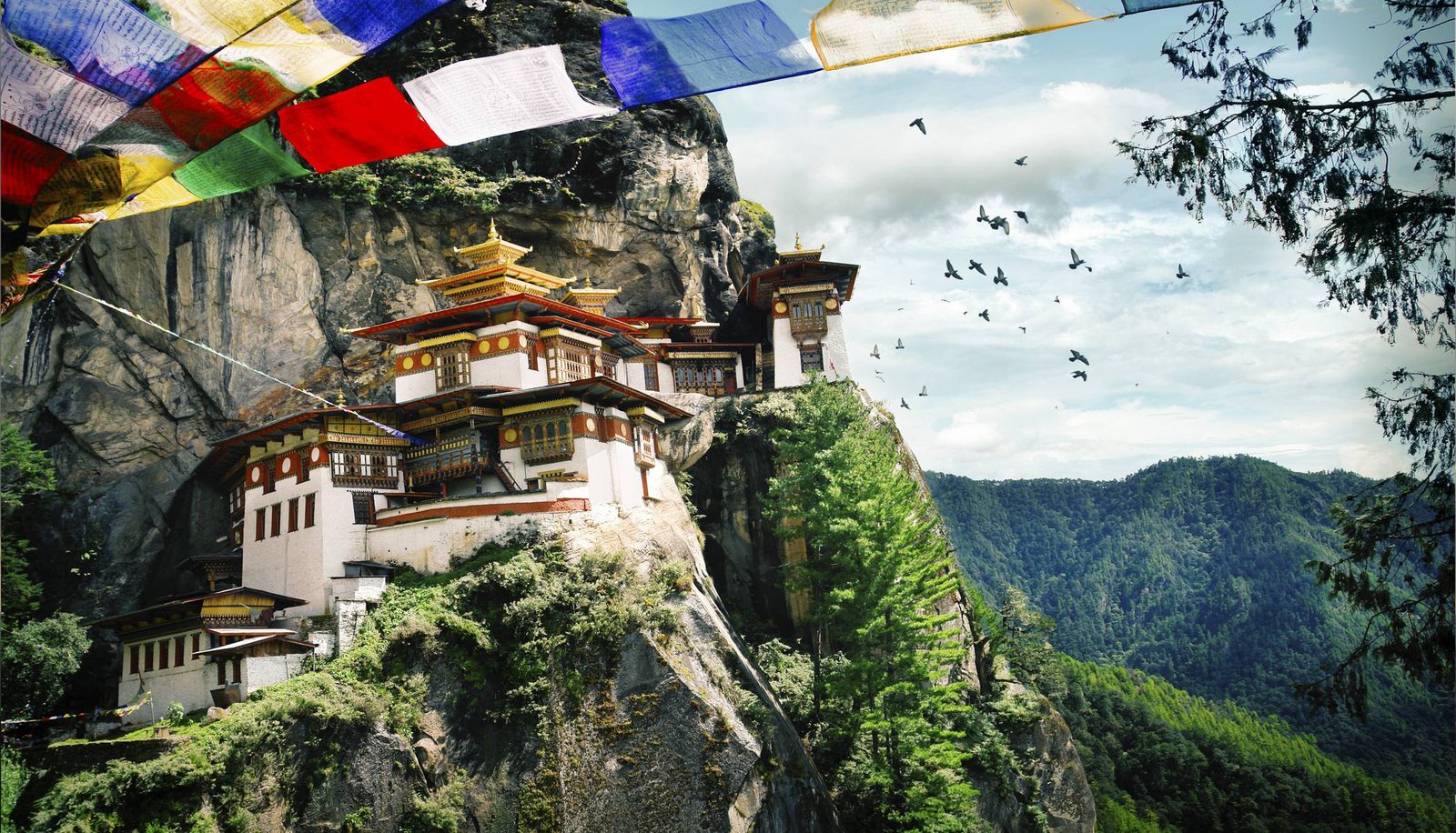 Paro